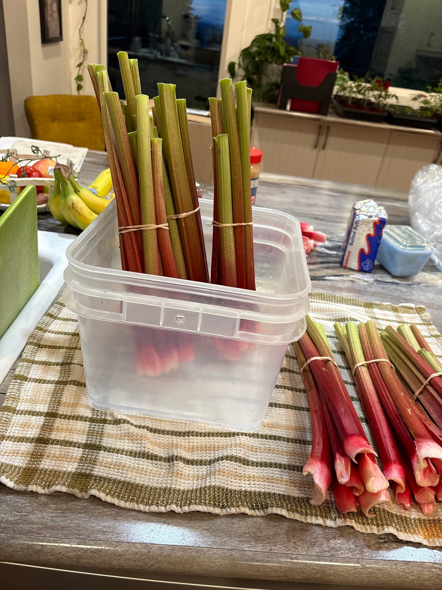Fresh Rhubarb, 1 lb.