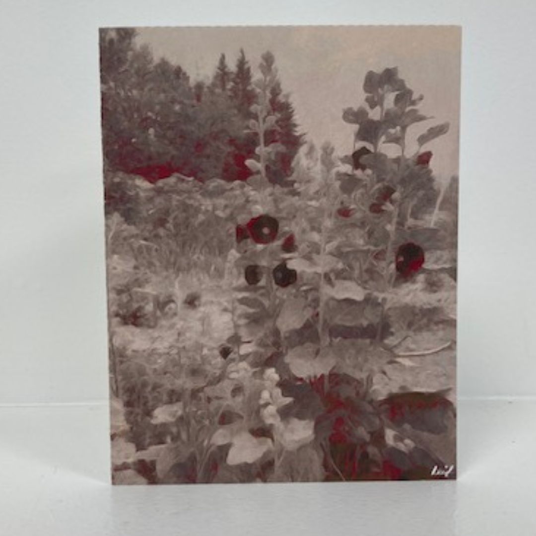 Art Card - Hollyhocks, Blank, pack of 5