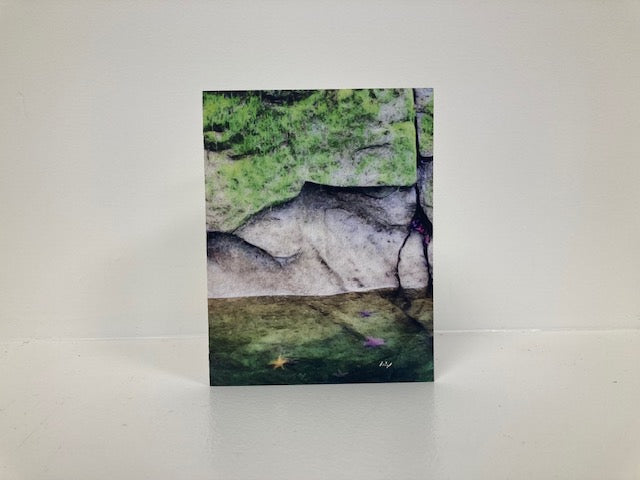 Art Card - Starfish, Blank, pack of 5