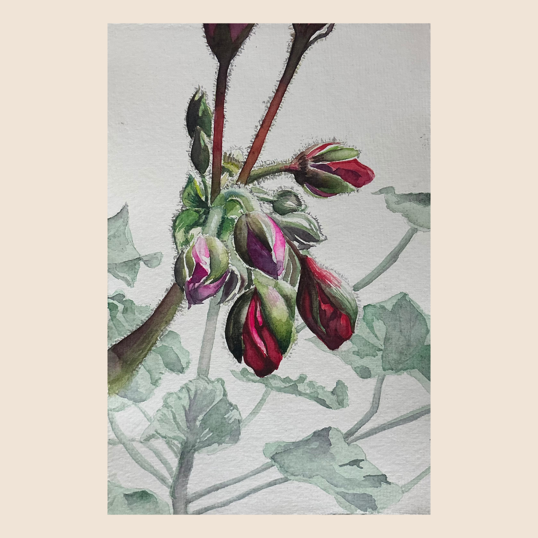 Art Card - Floral 01, pack of 3