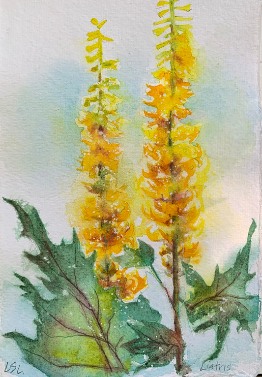 Art Card - Floral 02, individual