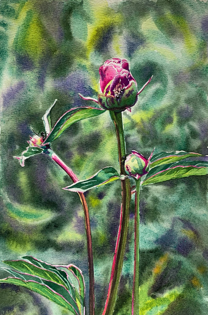 Art Card - Floral 03, individual