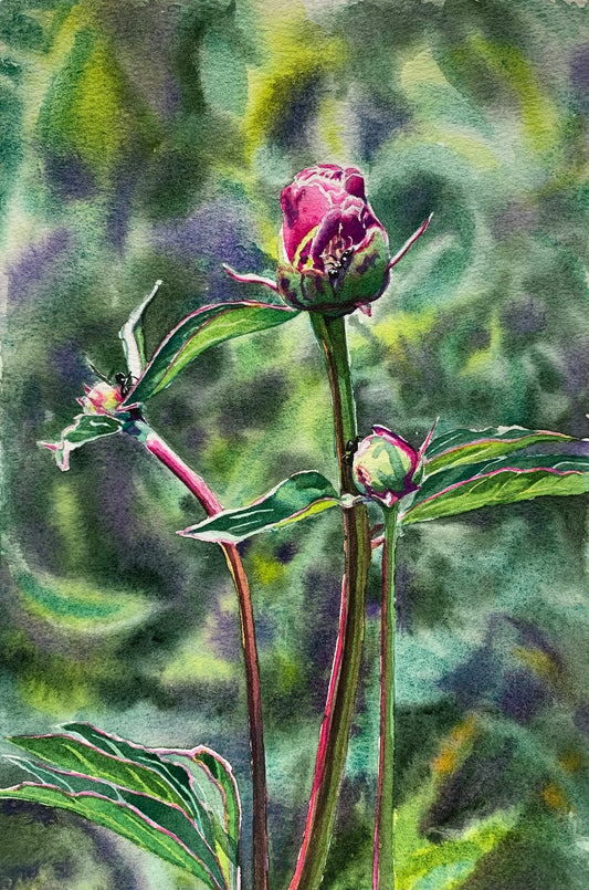 Art Card - Floral 03, individual