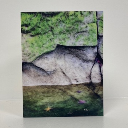 Art Card - Starfish, Blank, pack of 5