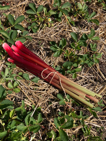 Fresh Rhubarb, 1 lb.